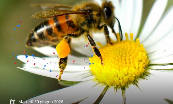 IL RISCHIO INVISIBILE DELLE MICROPLASTICHE: Come cambiano le interazioni tra piante e impollinatori - Marted&igrave; 30 giugno 2026