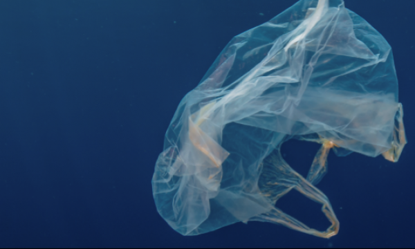 Call for Mediterranean Fragments - Scadenza 25 agosto 2025 ore 23.59